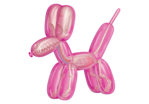 Balloon Dog Anantomy: Pink dandashop.co.za